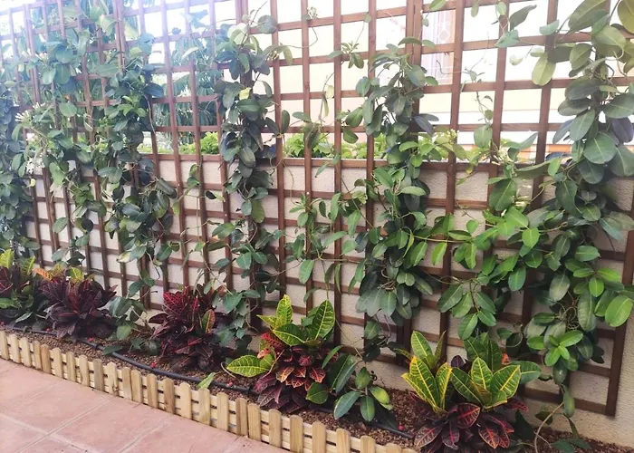 Apartament Hakuna Matata Con Gran Terraza, Planta Baja *