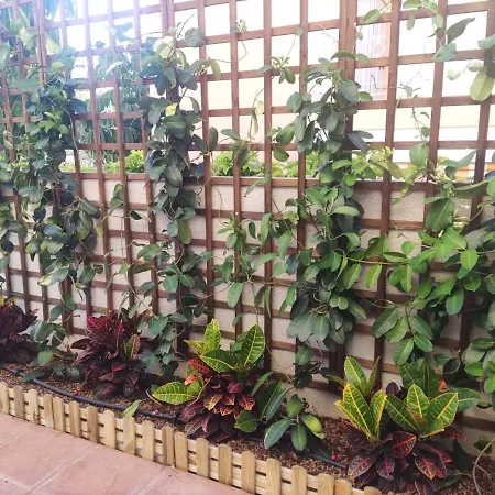 Apartament Hakuna Matata Con Gran Terraza, Planta Baja *